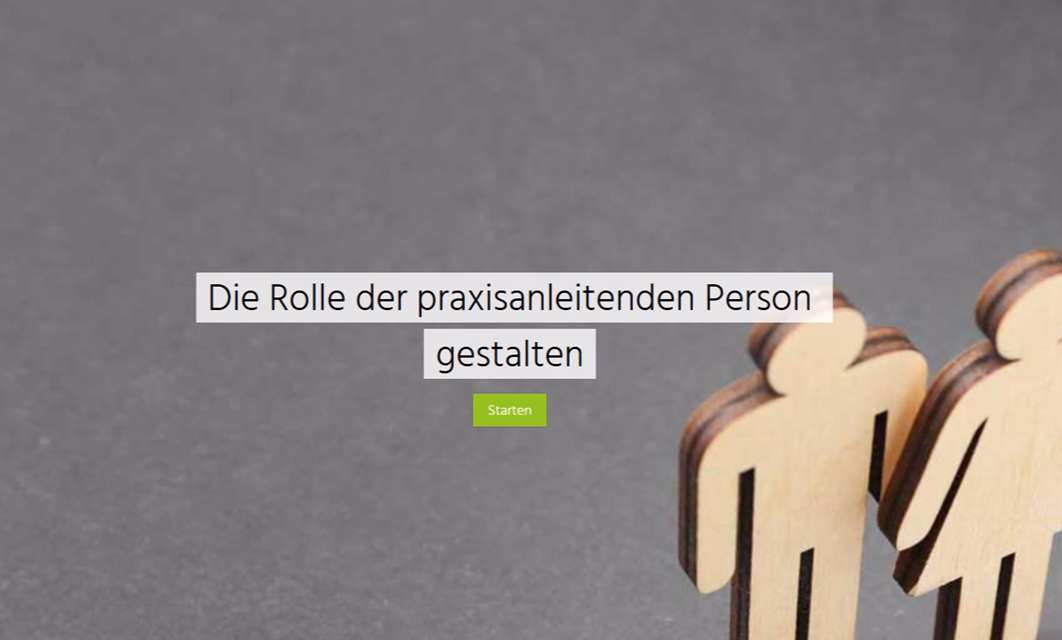 Die Rolle der praxisanleitenden Person gestalten